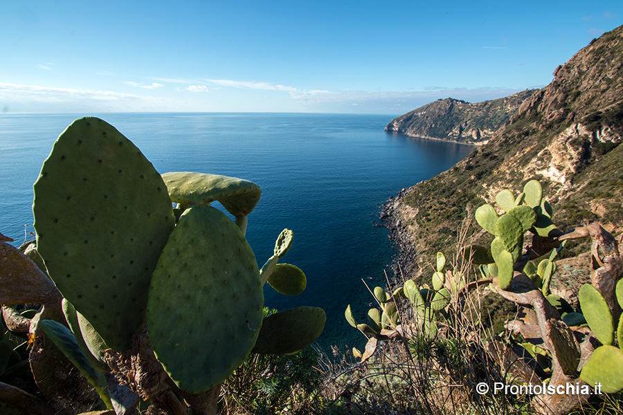 Camminare a Ischia nella natura 3